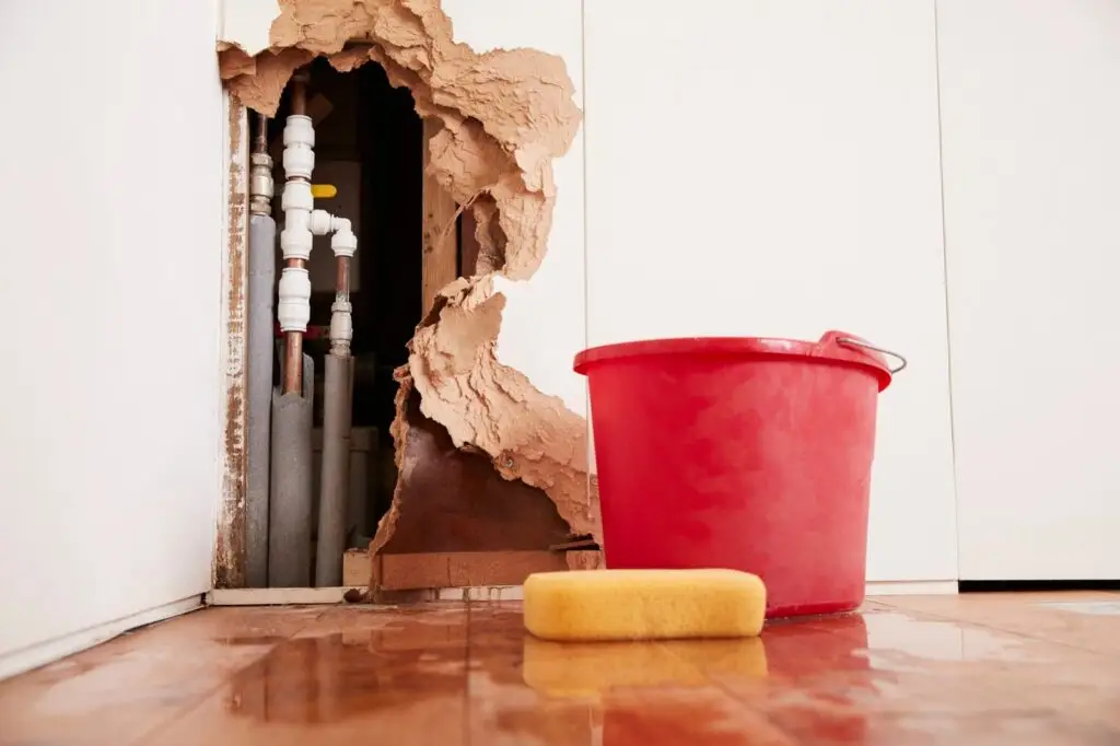 Leak repair in Dudley
